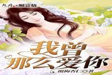 酸梅小说txt